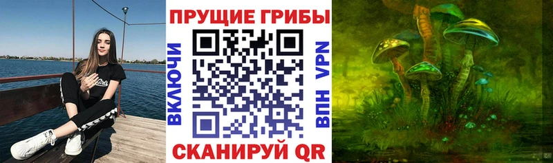 Галлюциногенные грибы Psilocybine cubensis Спас-Деменск